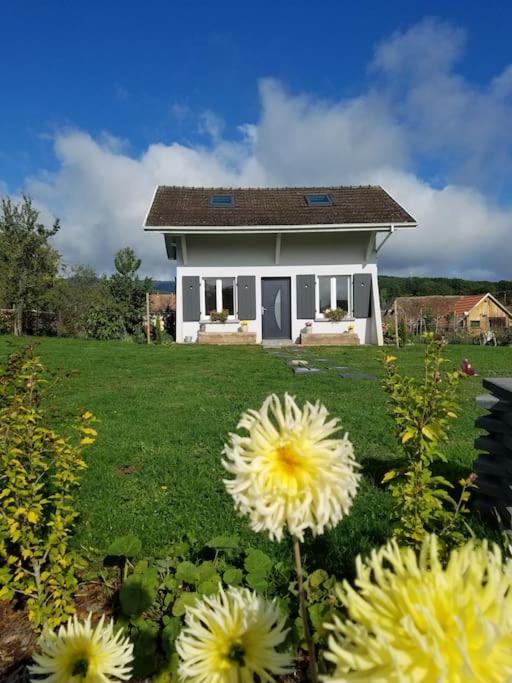 Gite Le Charmot, Au Pied Des Montagnes Classe 3* Roderen Bagian luar foto