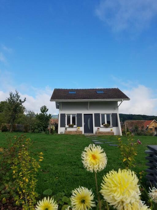 Gite Le Charmot, Au Pied Des Montagnes Classe 3* Roderen Bagian luar foto
