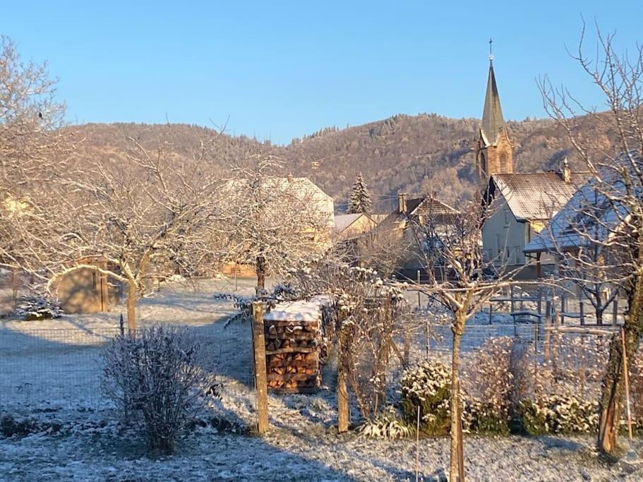 Gite Le Charmot, Au Pied Des Montagnes Classe 3* Roderen Bagian luar foto