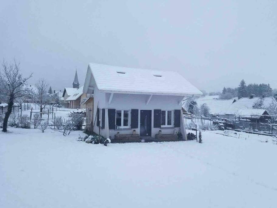 Gite Le Charmot, Au Pied Des Montagnes Classe 3* Roderen Bagian luar foto